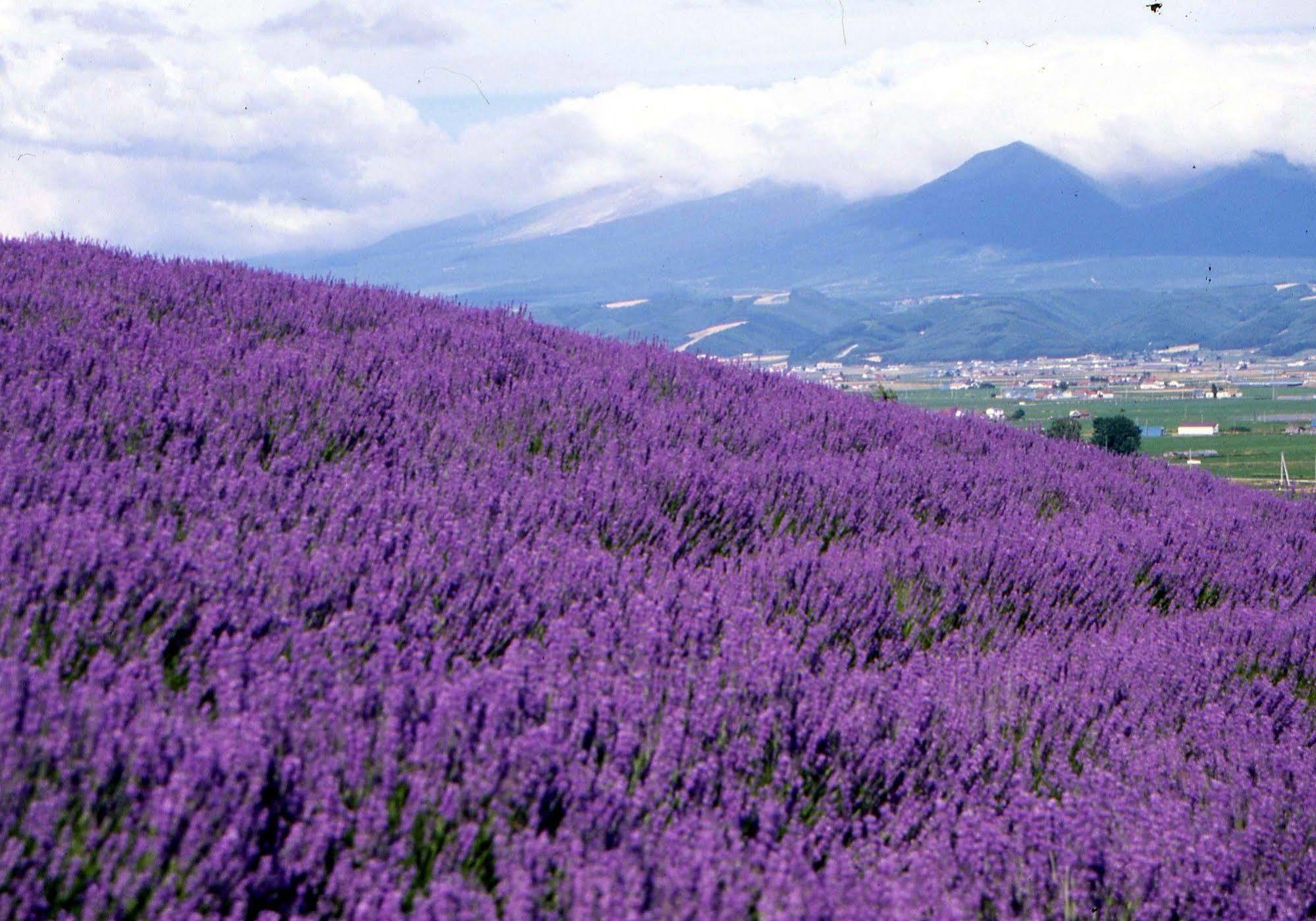 Pension Lavender Furano Luaran gambar