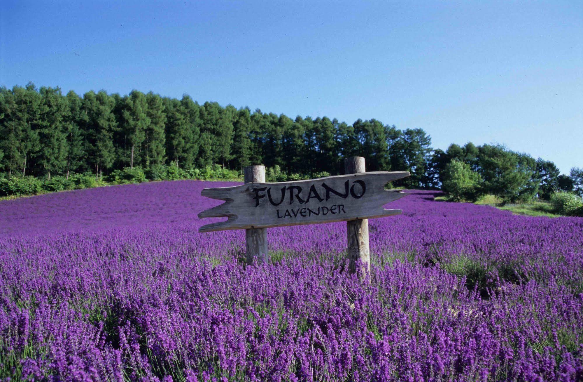 Pension Lavender Furano Luaran gambar
